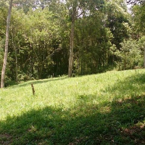 Sítio com 2 dormitórios à venda, 200000 m² por r$ 350.000,00 - santa terezinha - canela/rs - Foto 10