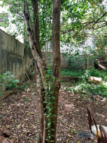 Casa à venda com 2 dormitórios em São josé, Canoas cod:29664 - Foto 4