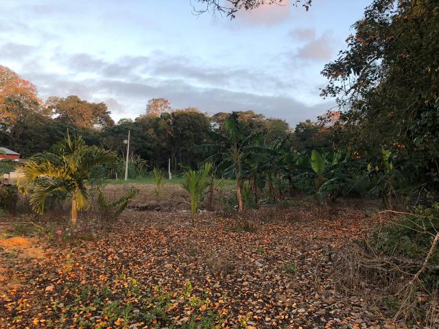 Fazenda produtora de Cacau em Linhares 70mil