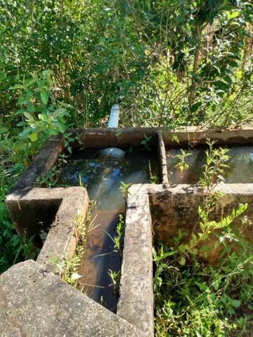 Fazenda no município de Bonfinópolis 24 alqueires - Foto 12
