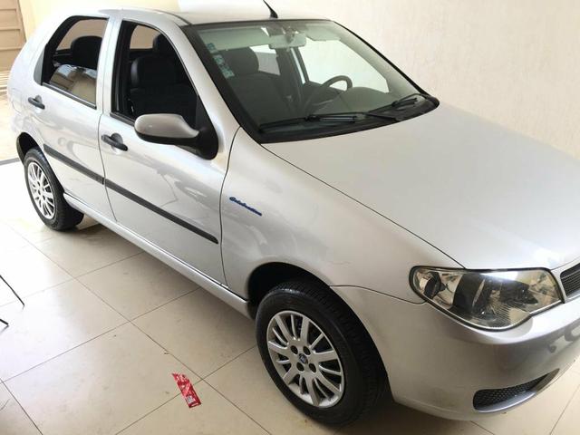 Palio completo extra