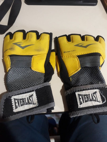 luva mma everlast