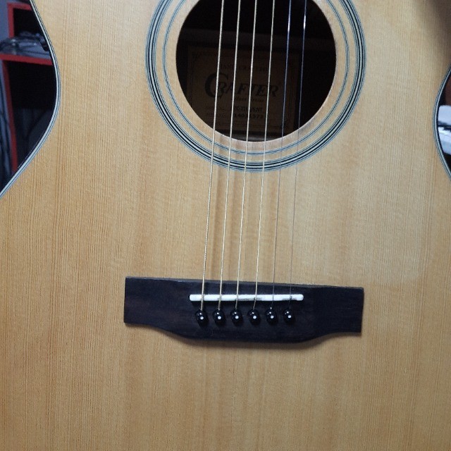 hard case telecaster