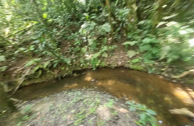 1.2 hectares 217 mil reais rico em água  - Foto 2