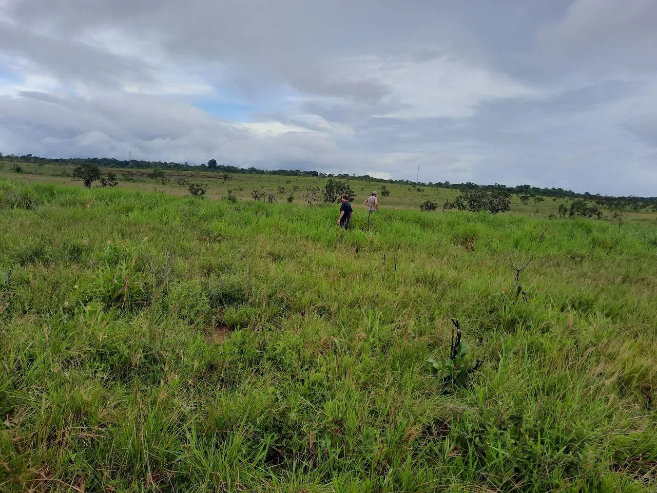 AREA DE 400HA PARA O AGRO. - Foto 10