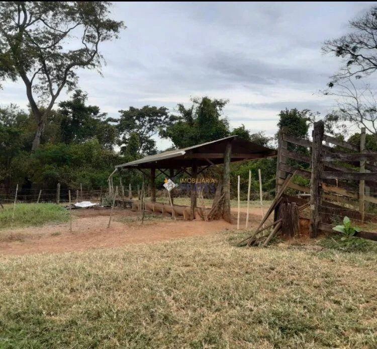 Sítio à venda - Macaubal/SP - Foto 5