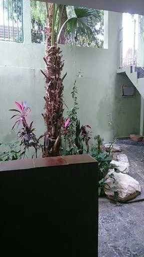 Foto - Campinas - Jardim Santa Rita de Cássia