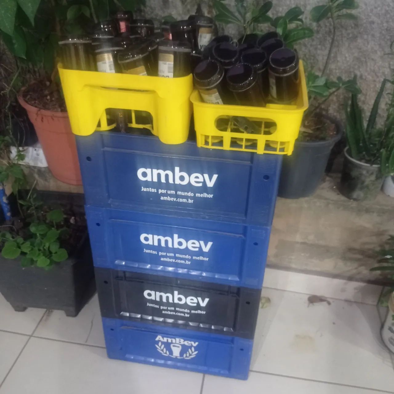 Caixa de Cerveja Ambev - 24 garrafas gorduchinha 