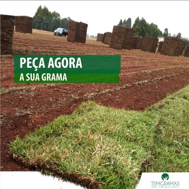 Grama Pronta Entrega Para Todo o Estado