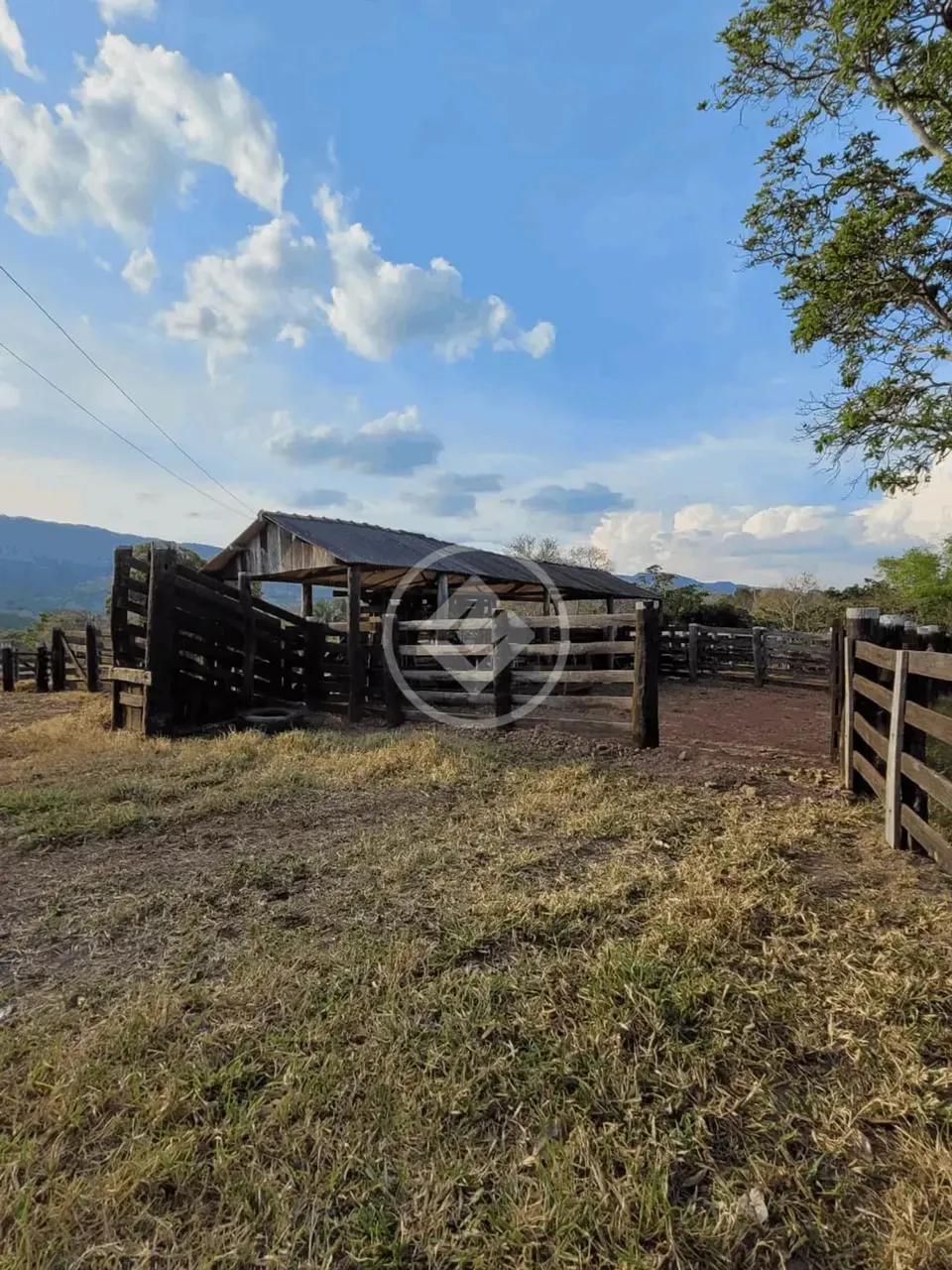 Fazenda a venda município de Cáceres-MT R$ 7.000.000,00 codigo: 53527