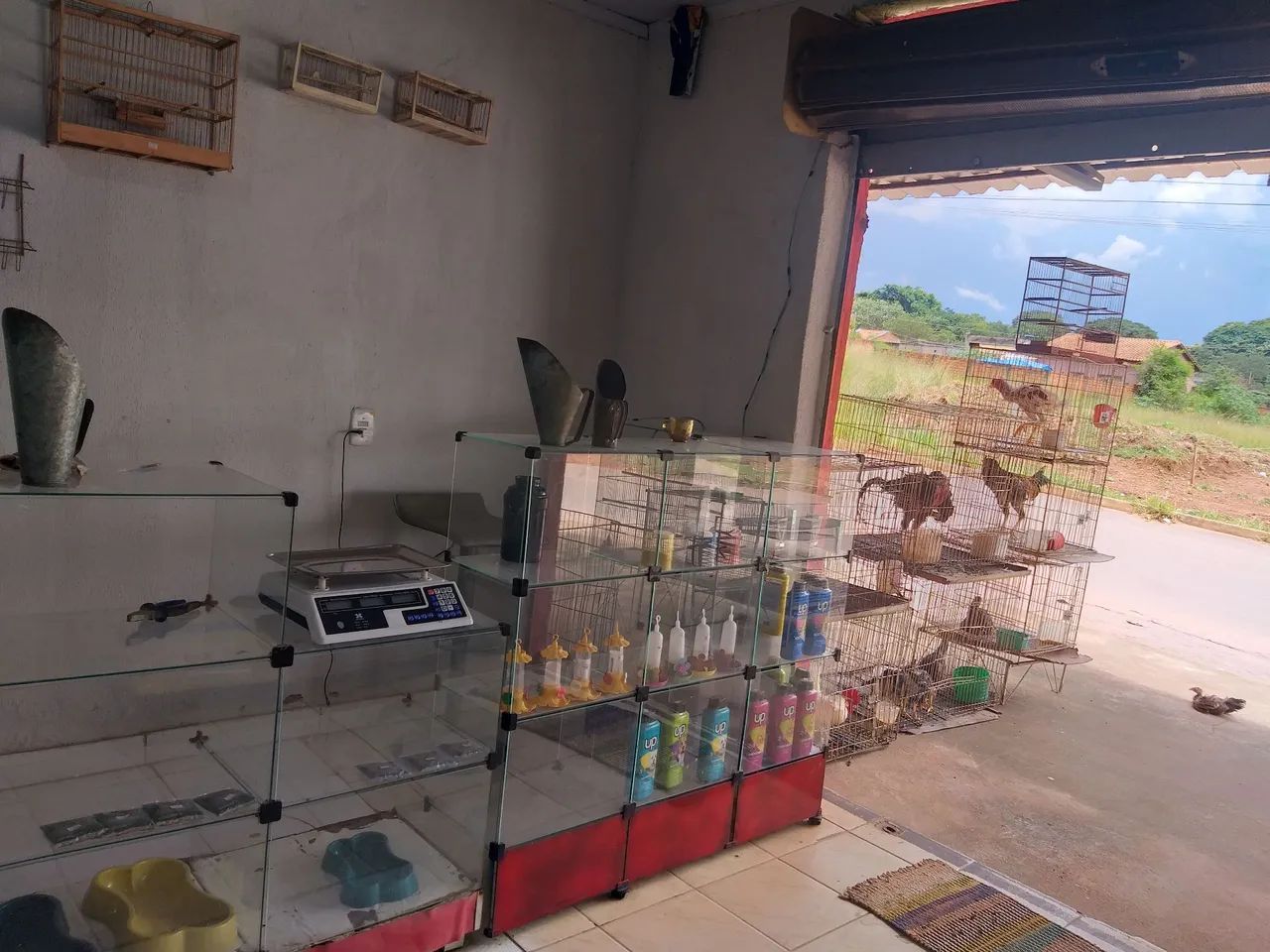 Casa de ração pet shop - Foto 2