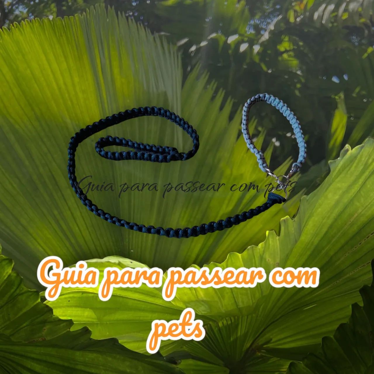 Guia para pets - Foto 3