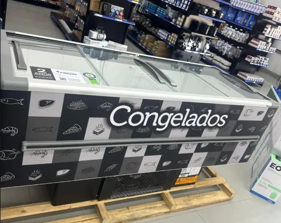 Ilha de congelados Fricon 2M