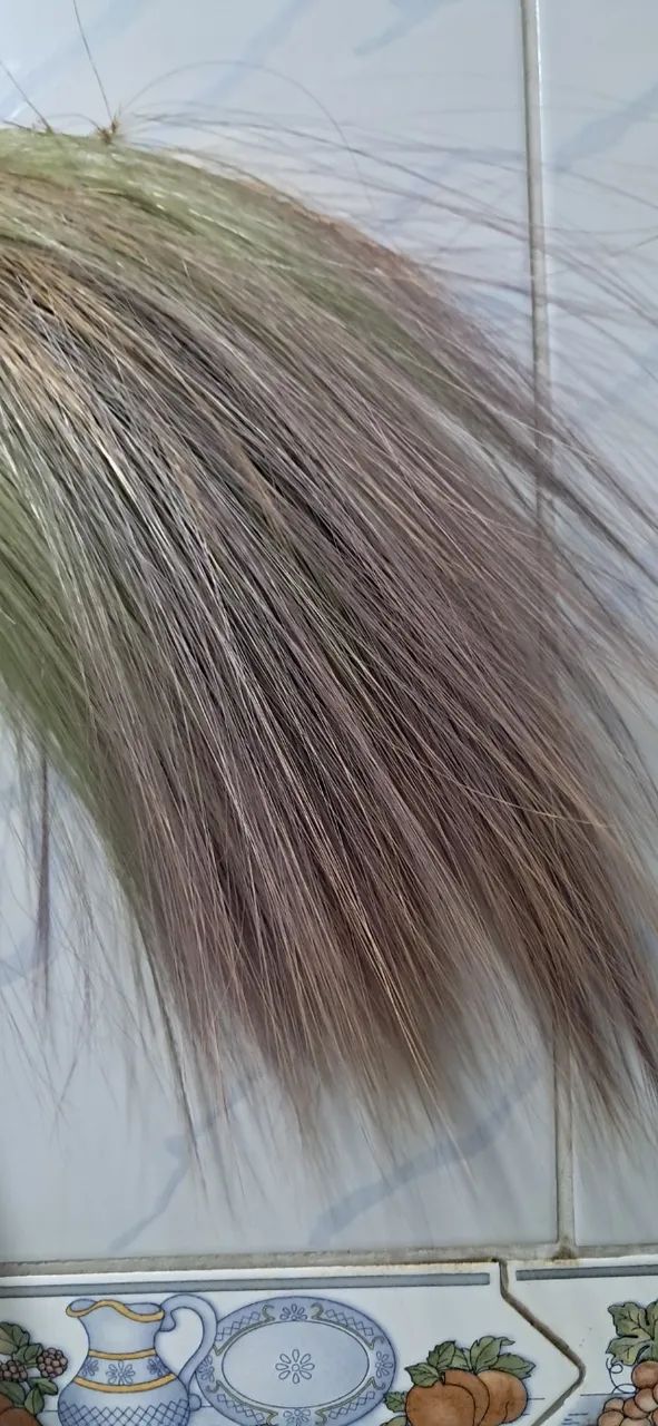Capim tipo Rabo de Raposa seco decorativo  - Foto 3