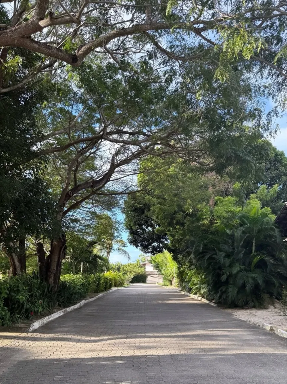 Terreno condomínio fechado, próximo ao Alphaville Terras e Ceará, Cidade Alpha, Eusébio.