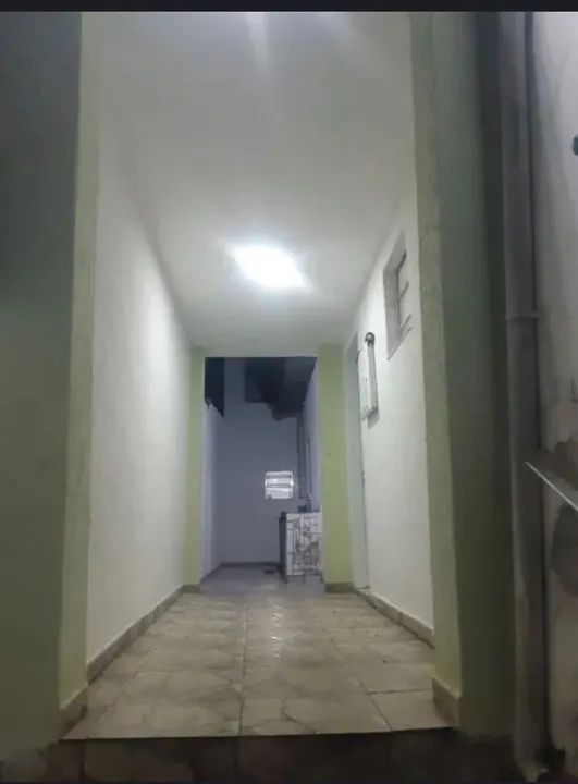 Disponível para comprar samambaia  ( entrada + parcelas)  - Foto 4