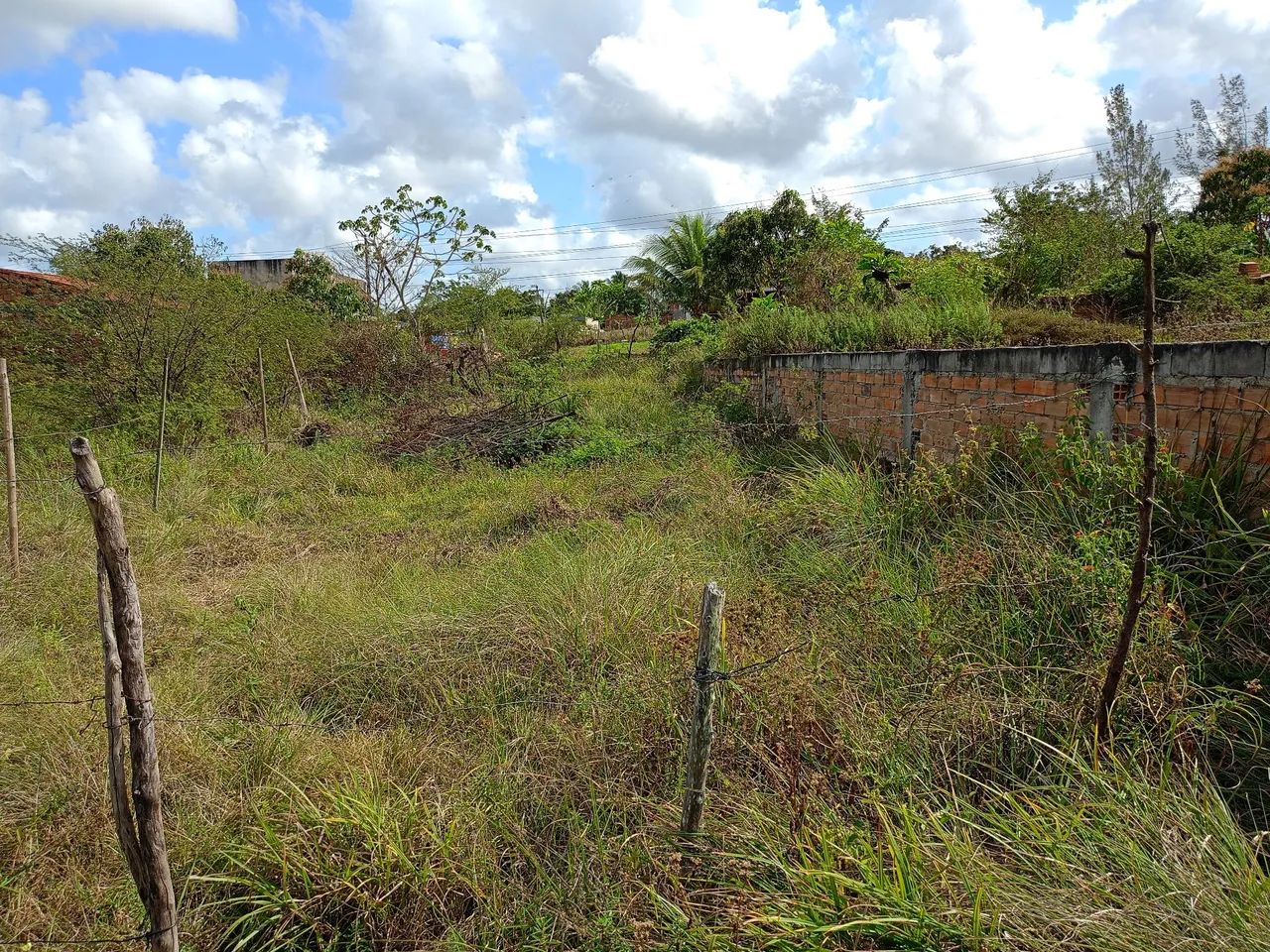 Terreno pra vender ou trocar em moto ? - Foto 4