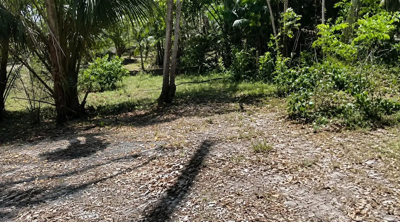 Excelente área no Quebra Pote ideal para chácara ou sítio - Foto 3