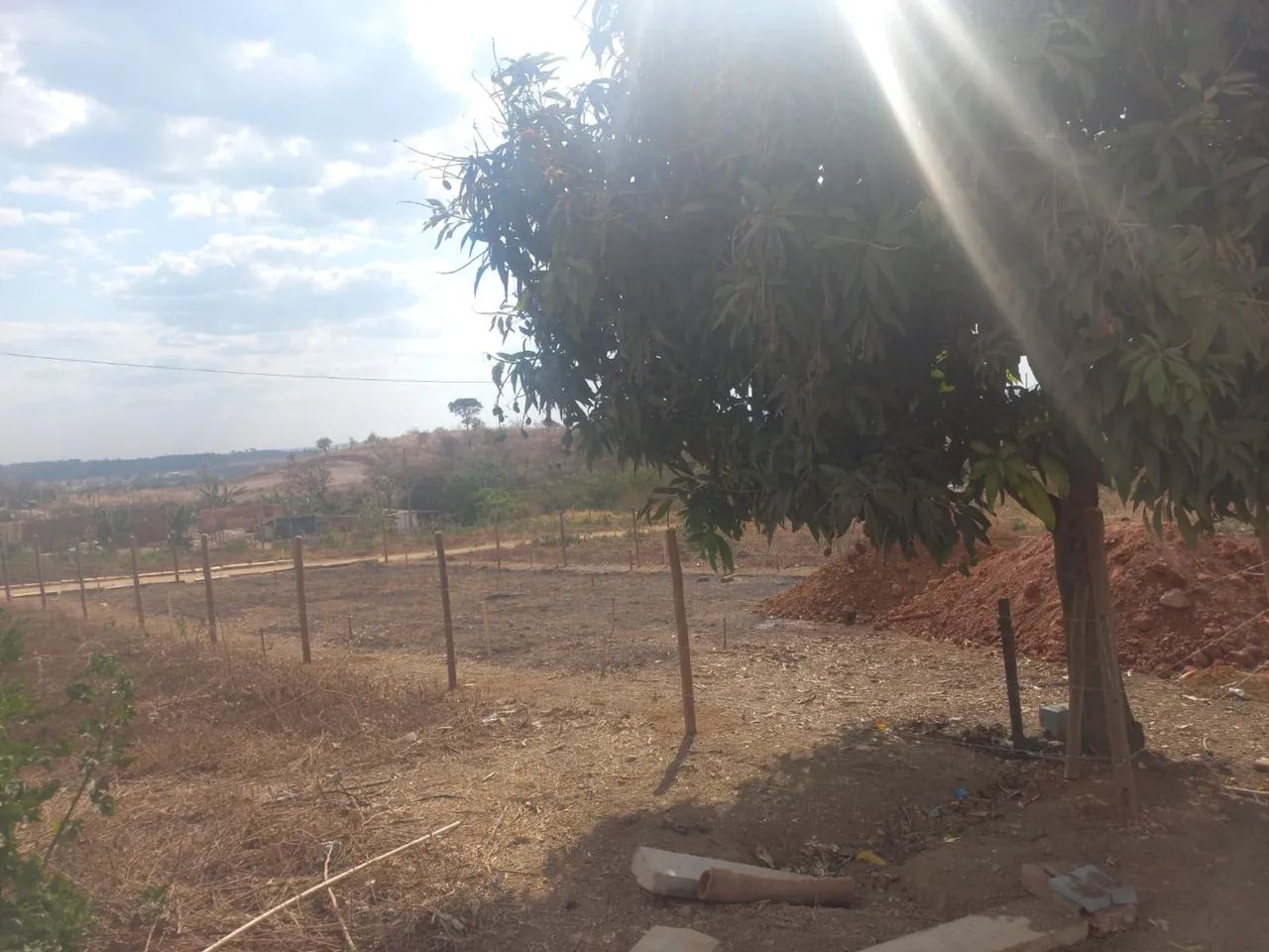 Lote em samambaia 