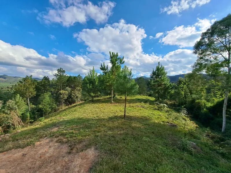 Lote rural DOUTOR PEDRINHO - SC