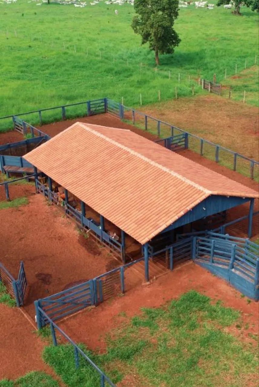 Fazenda só chega trabalhar pronta  - Foto 5
