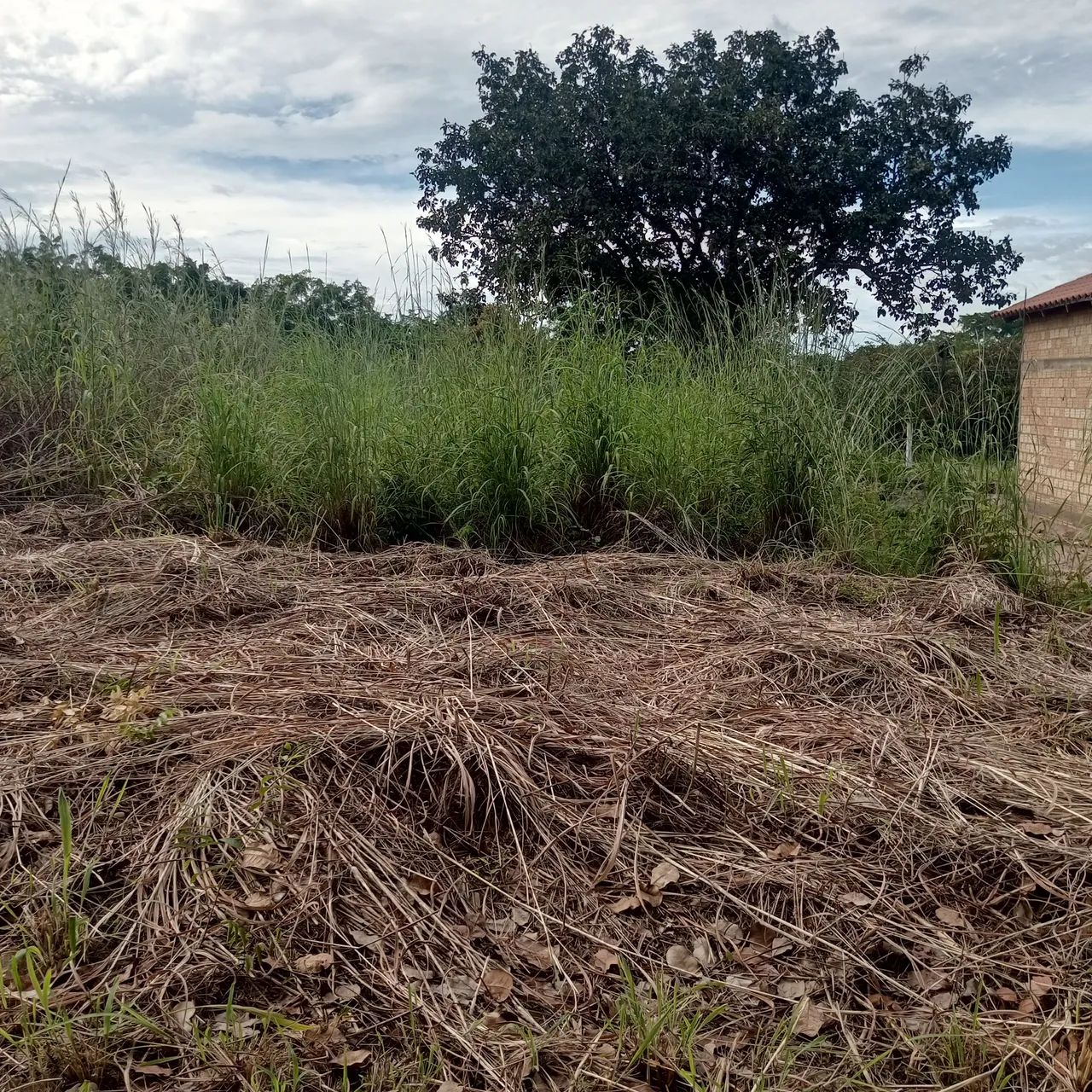 Foto - Conceição do Araguaia - 