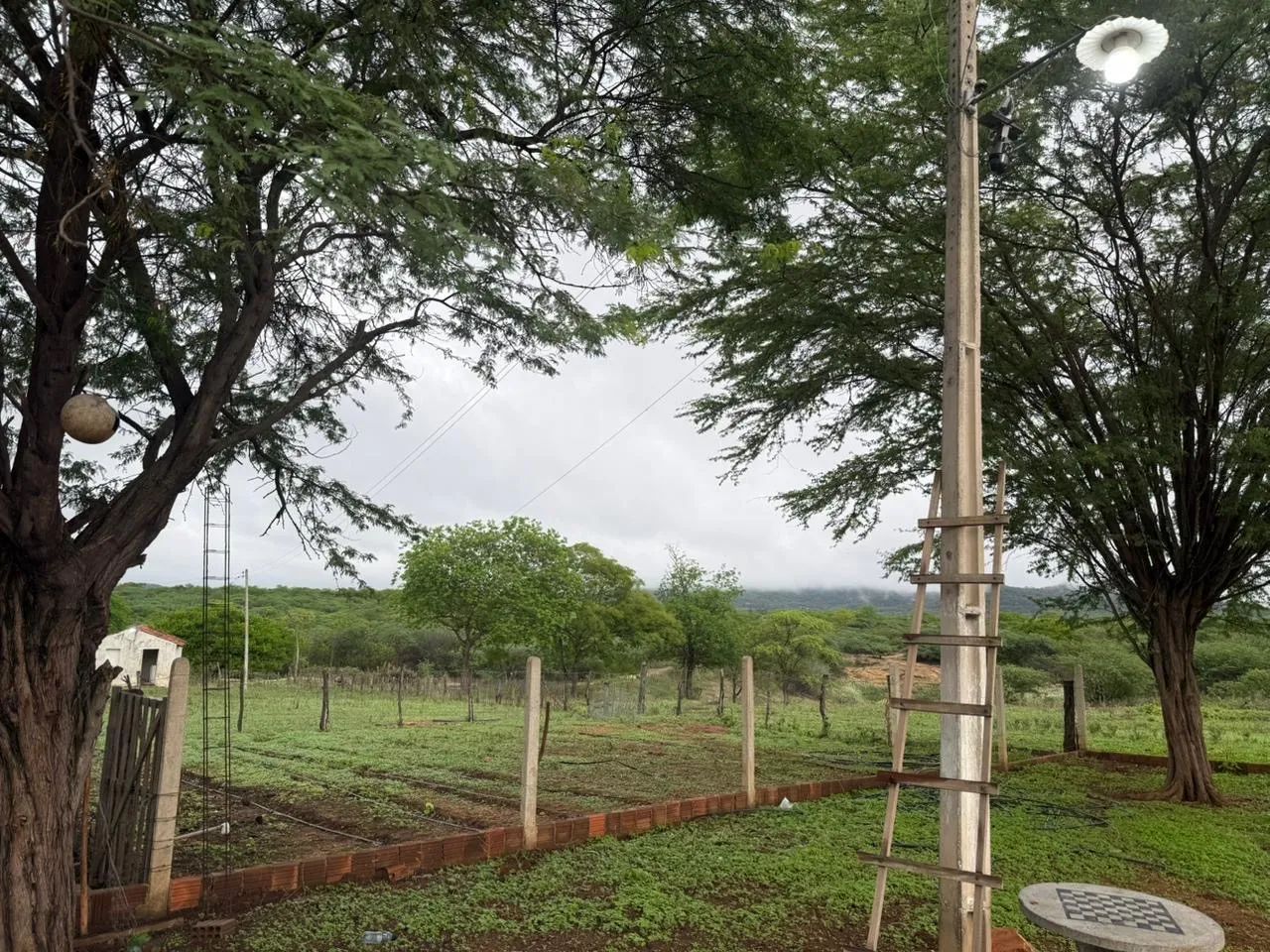 Sítio a venda em sertania Pernambuco  - Foto 3