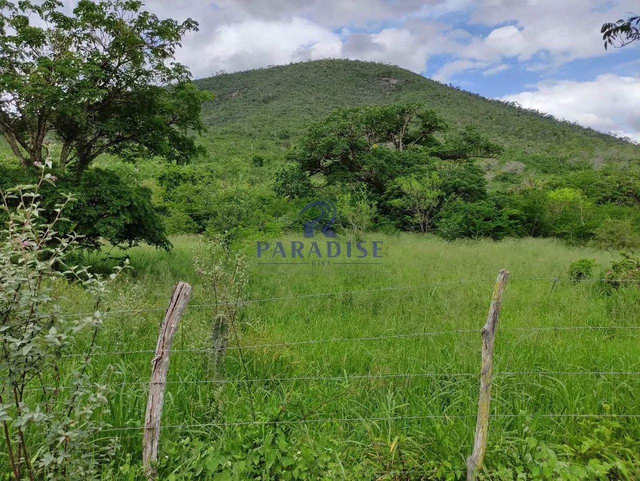 Fazenda,1.013 ha Zona Rural de Jequié, - R$ 8 mi cod.68942 - Foto 2