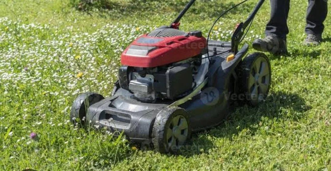 Trabalhamos com Roçadas e jardinagem - Foto 3