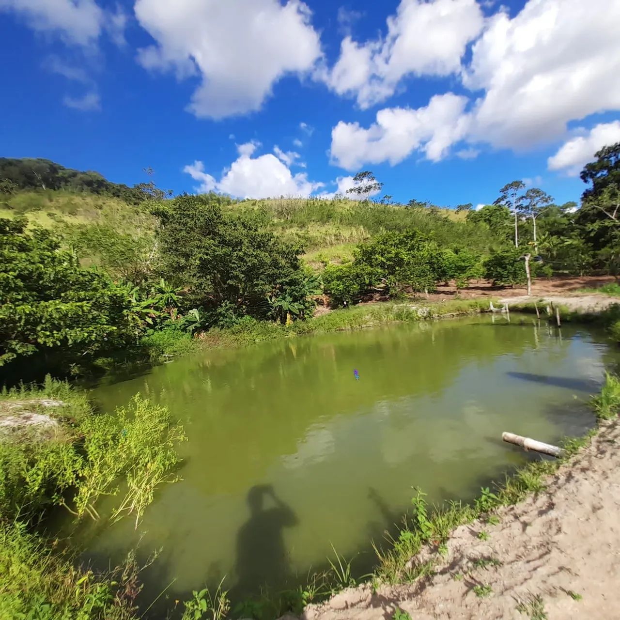 SITIO EM MURICI-AL!! - Foto 5