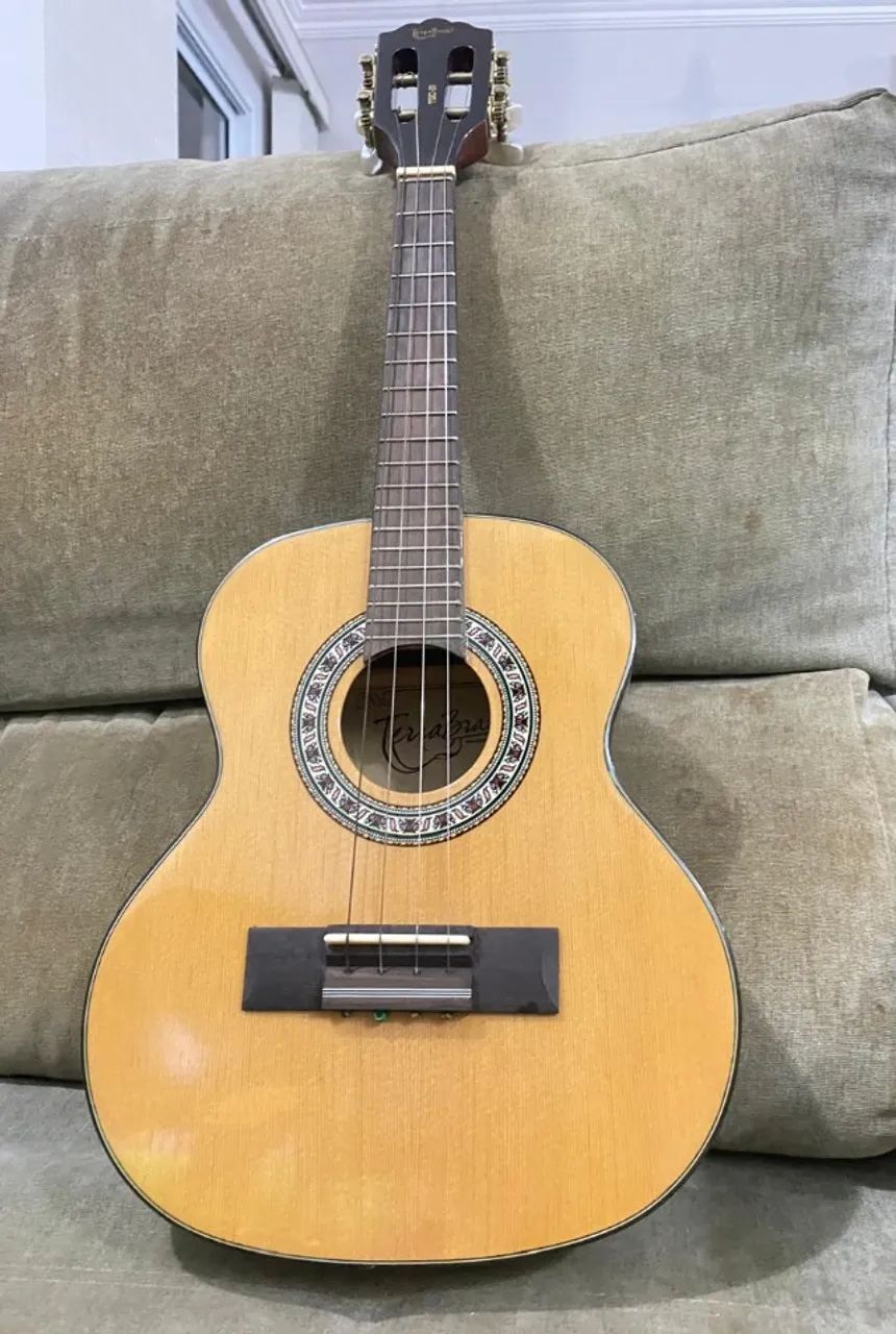 Cavaquinho Terra Brasil TGC-01 - Instrumentos musicais - Vila