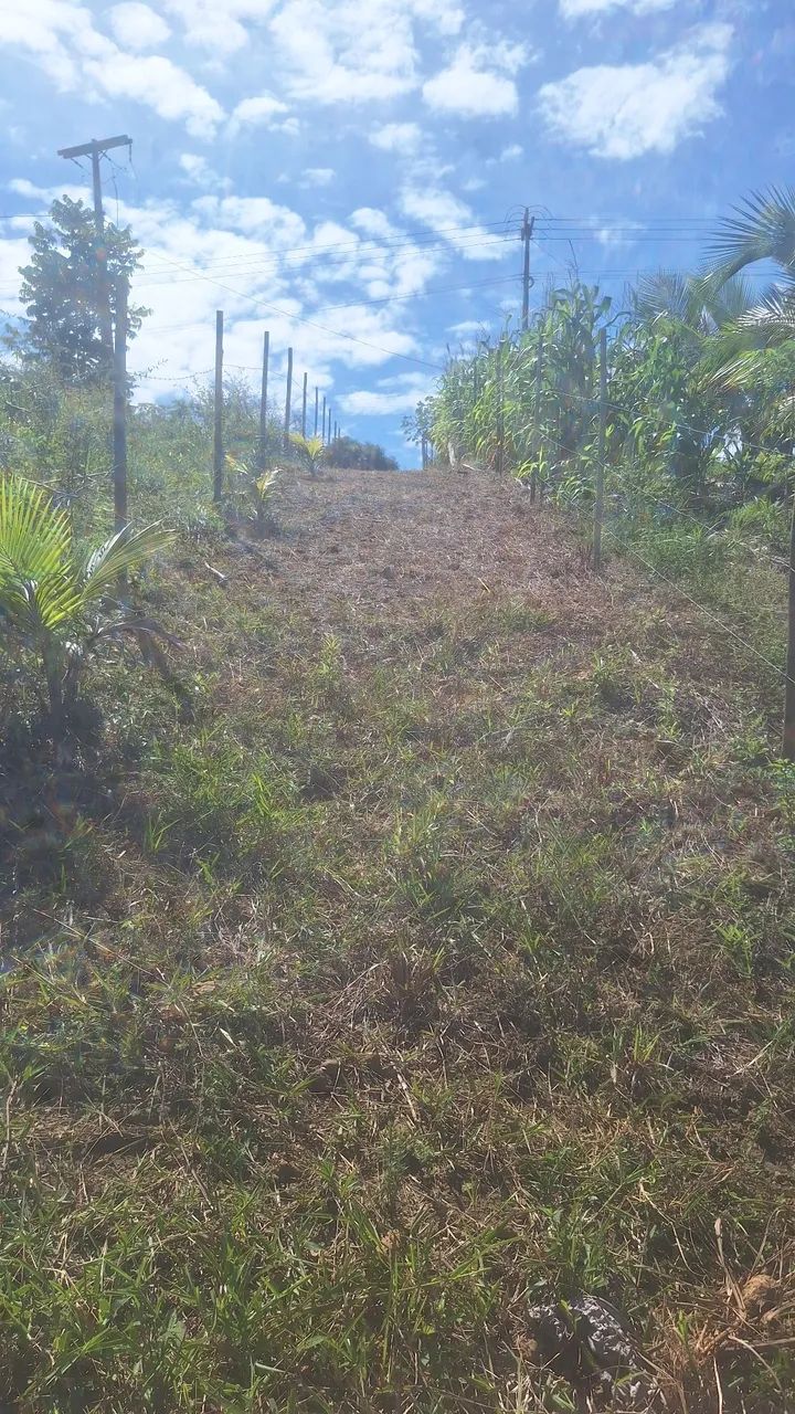 Rodovia: Serra Grande e Itcaré - Foto 2
