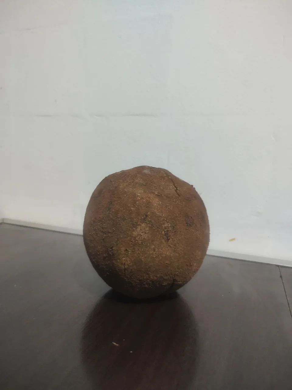 Oriço de castanha 