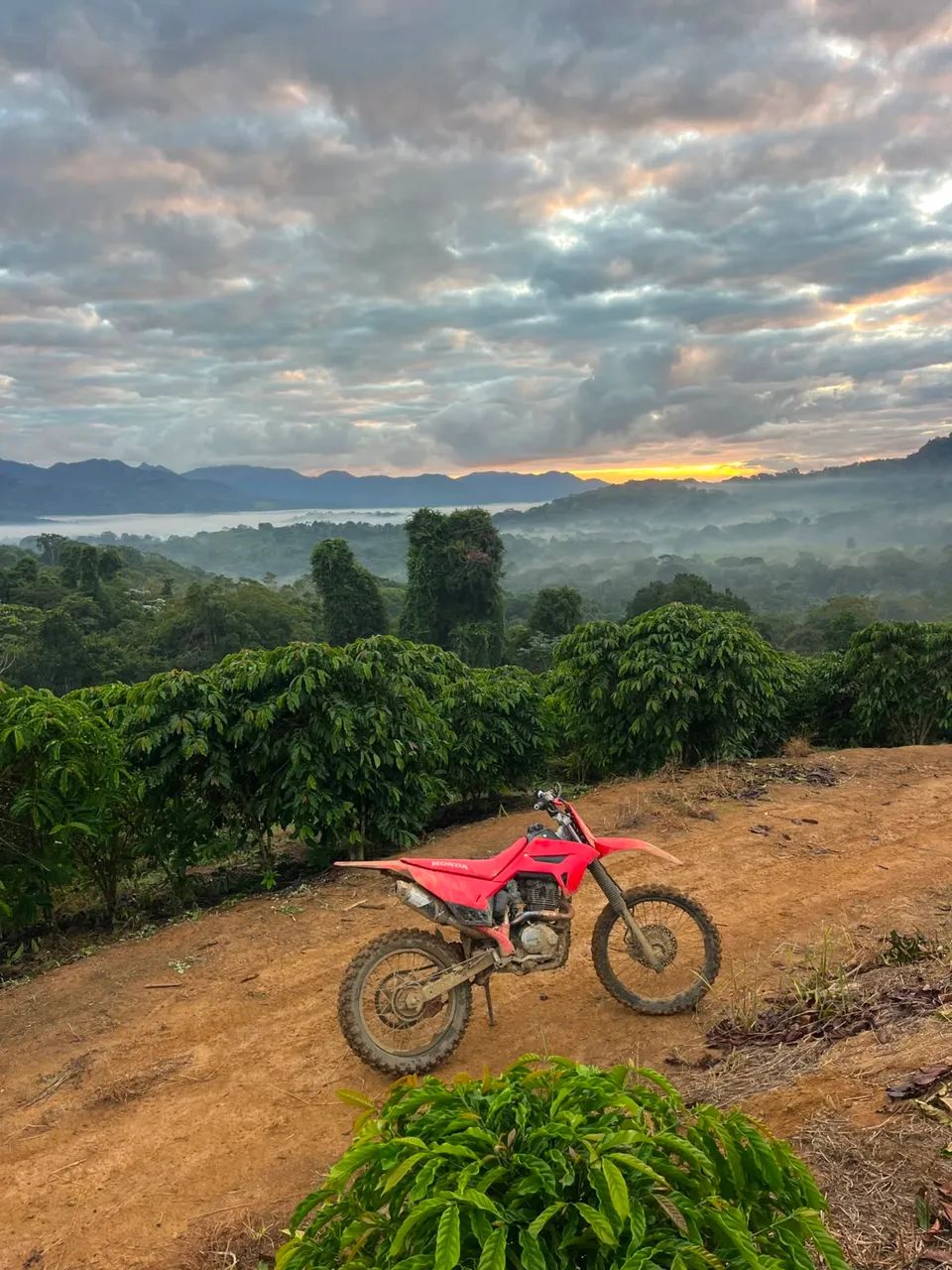 230 no preço  - Foto 2