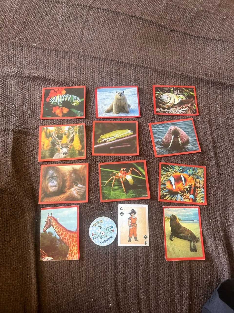 Lote figurinhas Discovery Channel, Card Pokémon e Goku