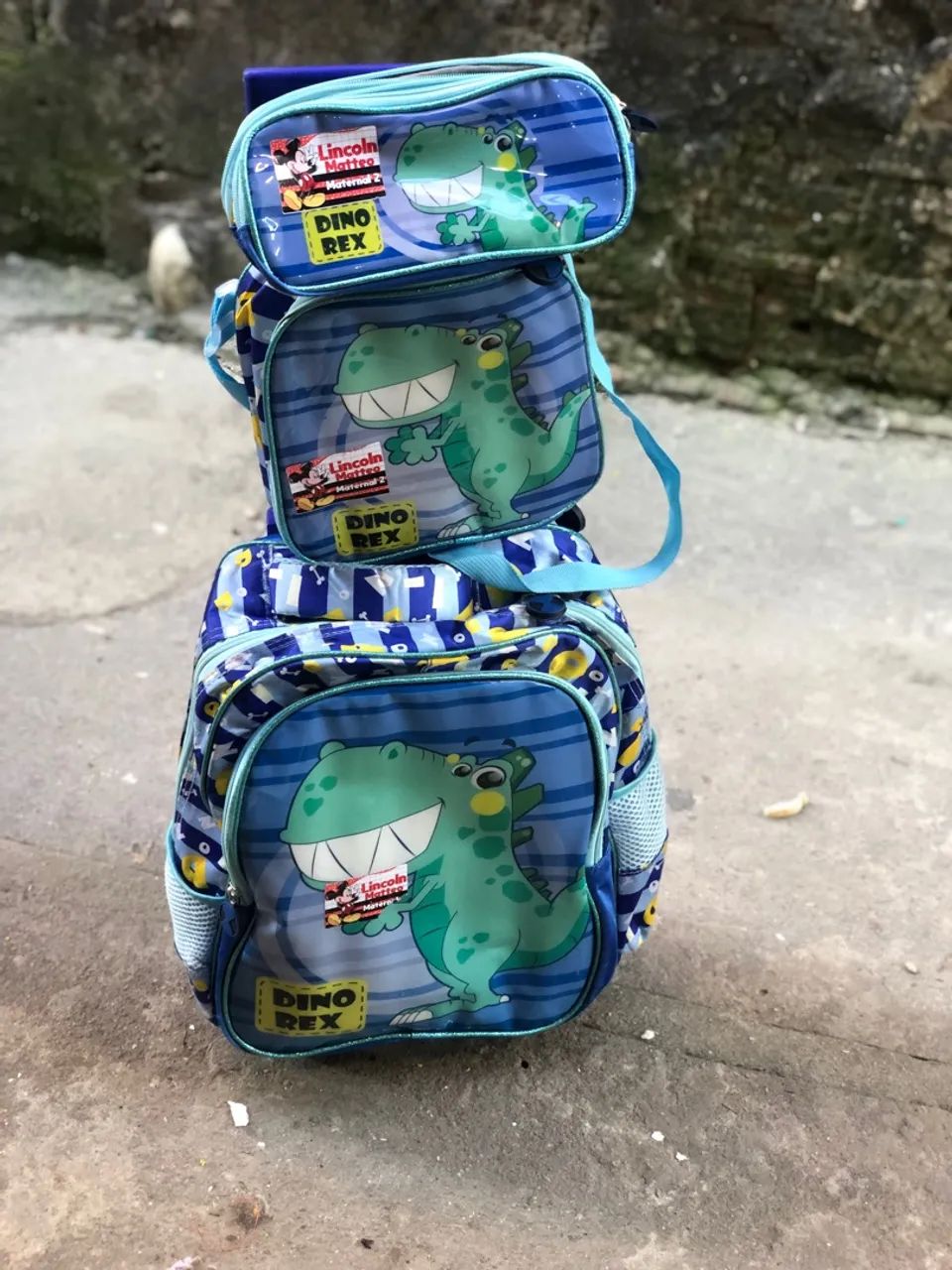 Bolsa usada seminova 