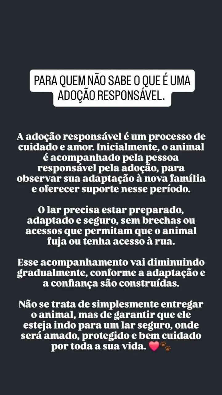 ADOÇÃO RESPONSÁVEL 