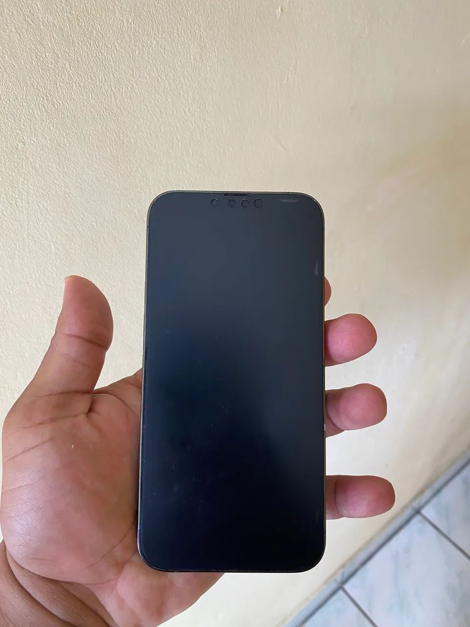 iPhone 13 Pro Max  - Foto 2