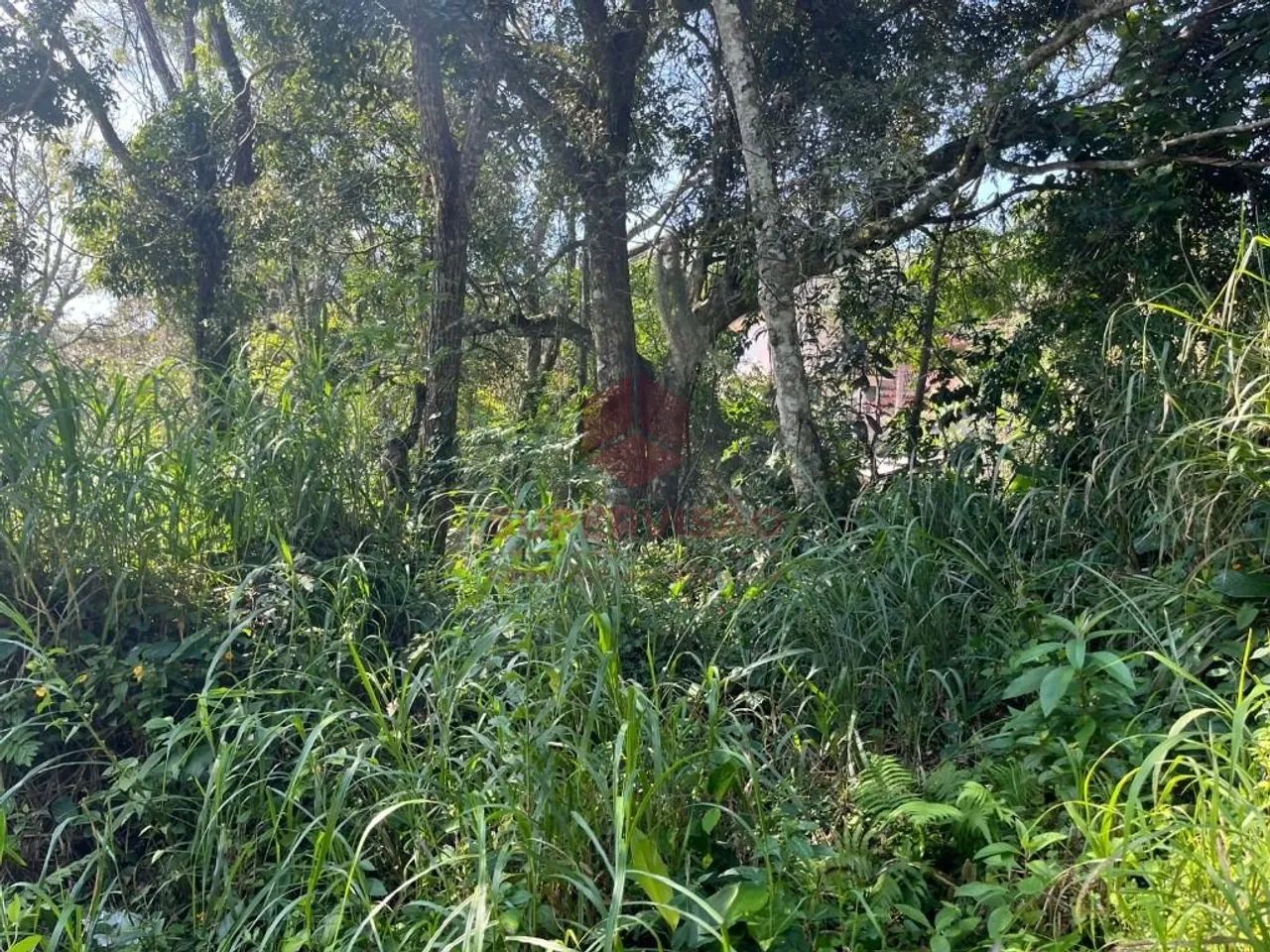 Terreno à venda, 381 m² - Pantanal - Florianópolis/SC - Foto 5