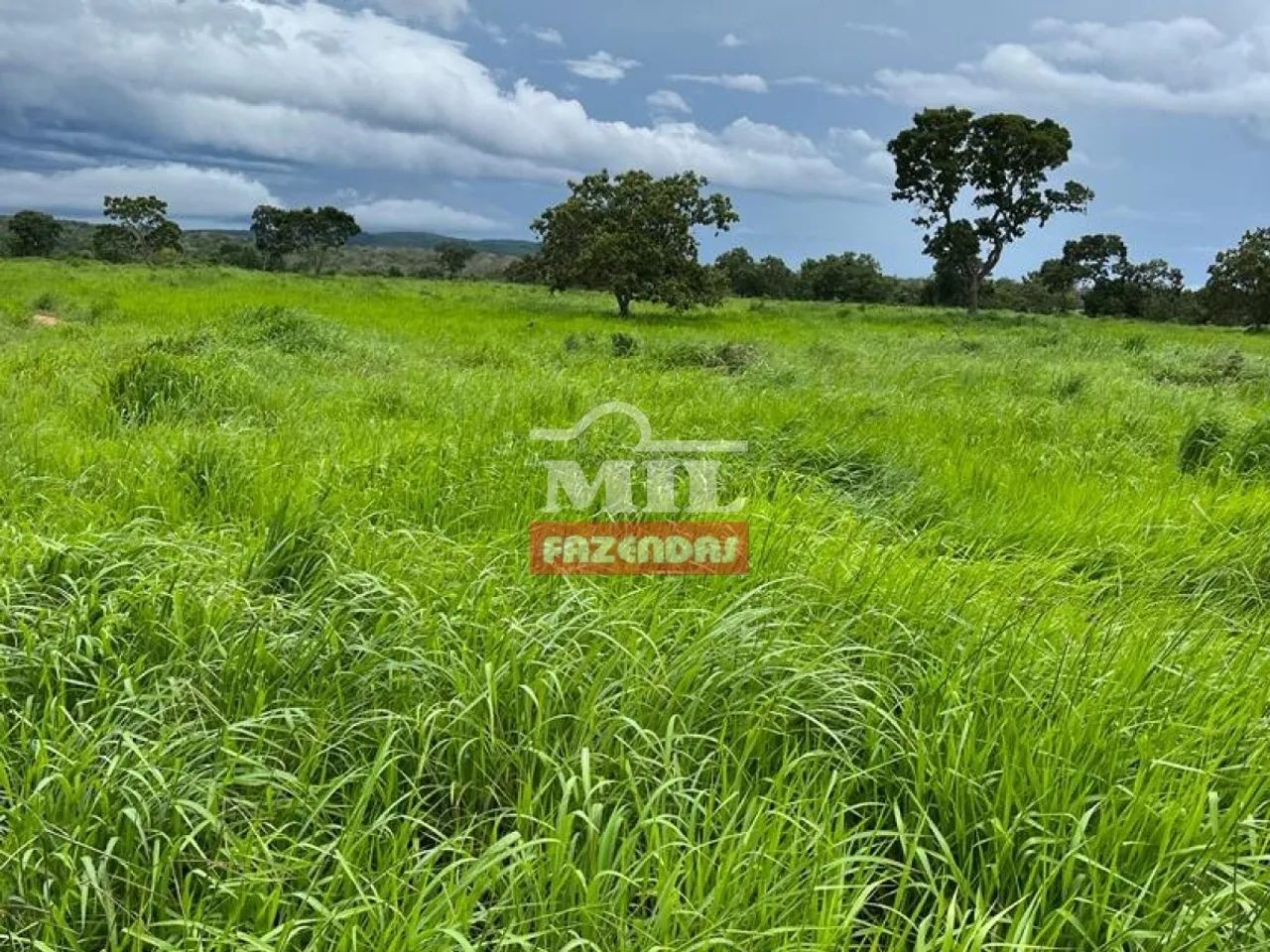 Fazenda em Porangatu-GO.