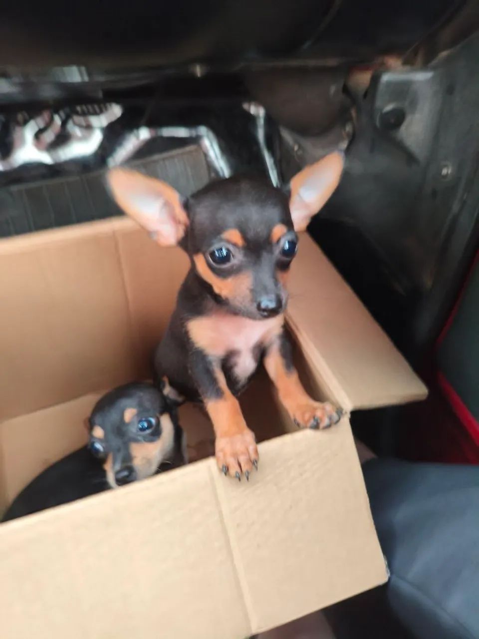 Vende se  - Foto 2