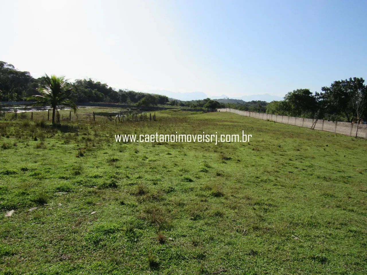 Sítio C/ Pesque e Pague Montado de 14.000m2 - Todo Plano e Murado - Foto 4