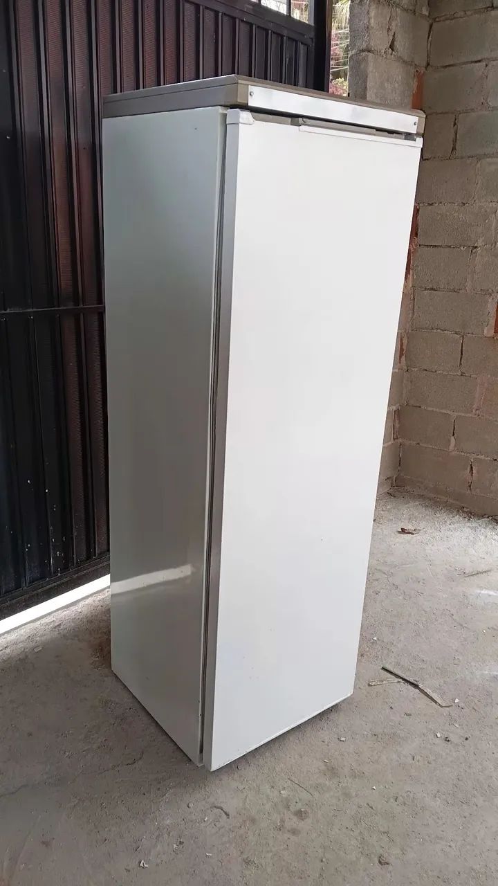 Vendo freezer com entrega grátis  - Foto 4