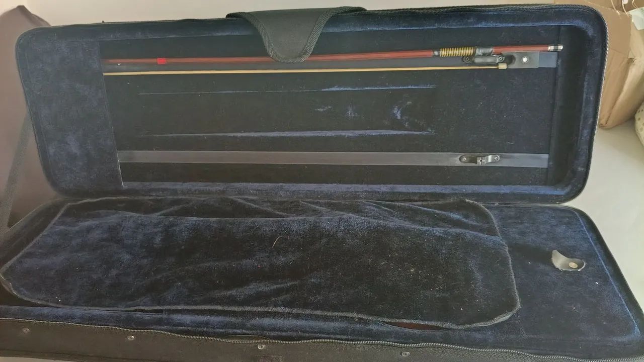 VIOLINO EAGLE 4/4 - Foto 2