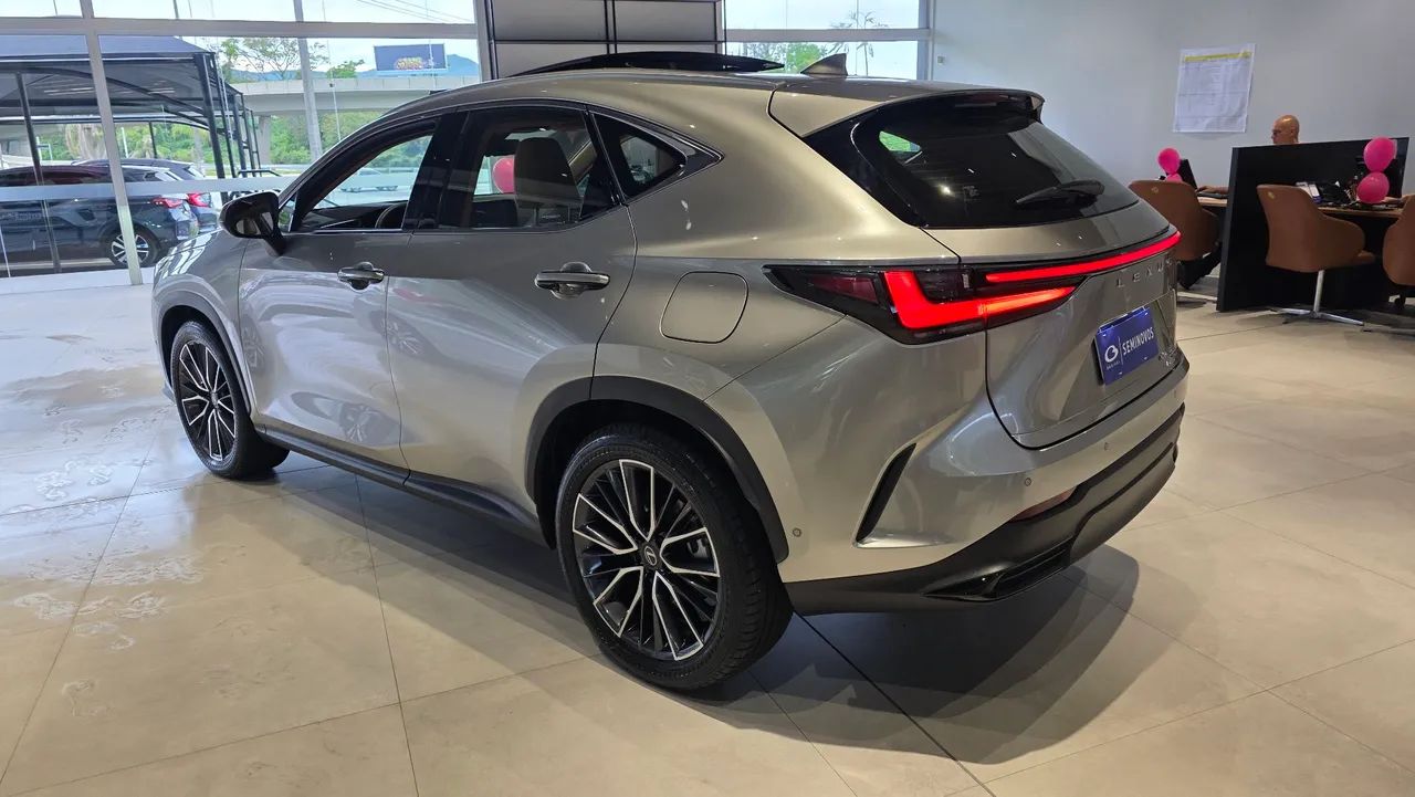 Lexus NX-450h+ AWD 2.5 16V Aut. (Híbrido), foto 5 de 14