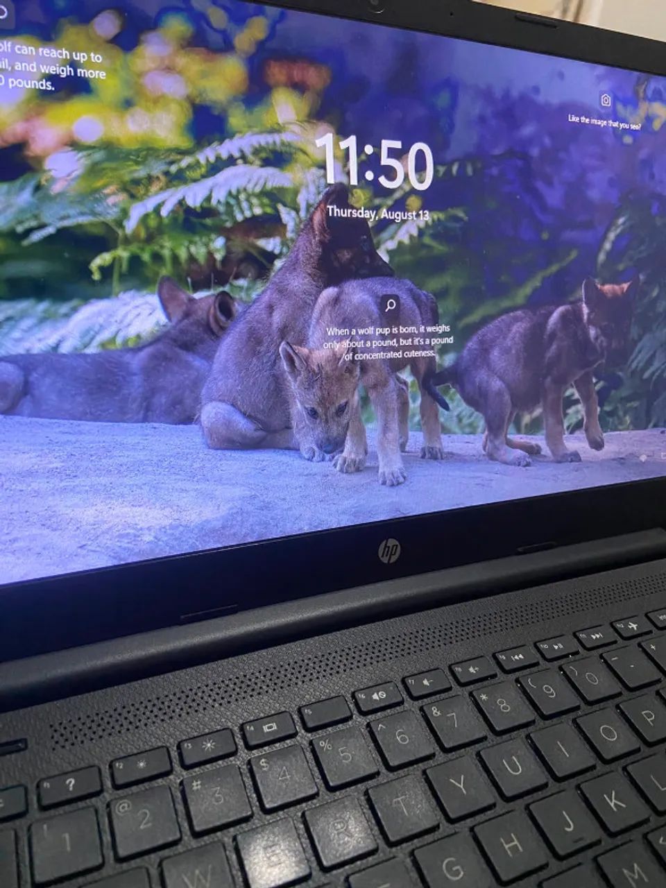 Laptop HP 14-dq0xxx - Foto 2
