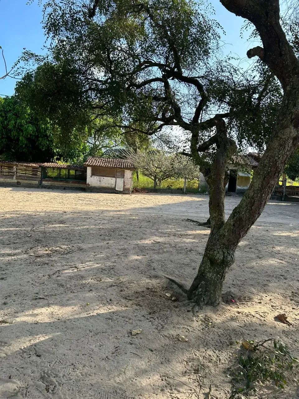 Granja com mais  9000m2  - São José de Mipibu - RN - Foto 4