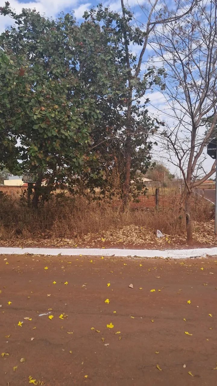 3 lotes de 360 m2 perfazendo um total de 1080 m2 - Foto 4