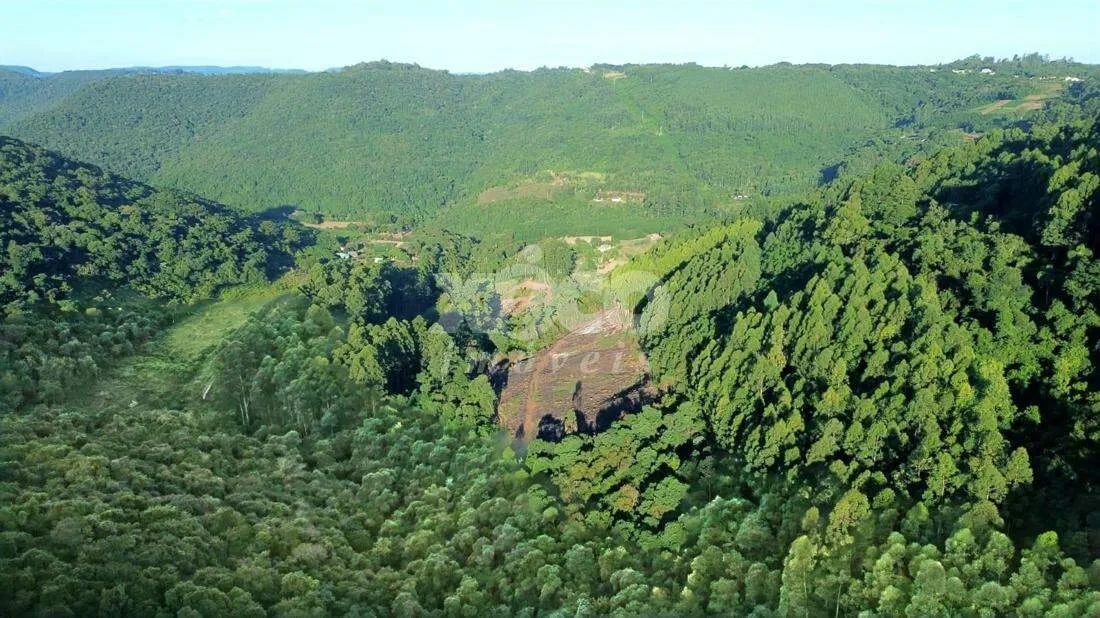 SÍTIO EM NOVA PETRÓPOLIS / RS