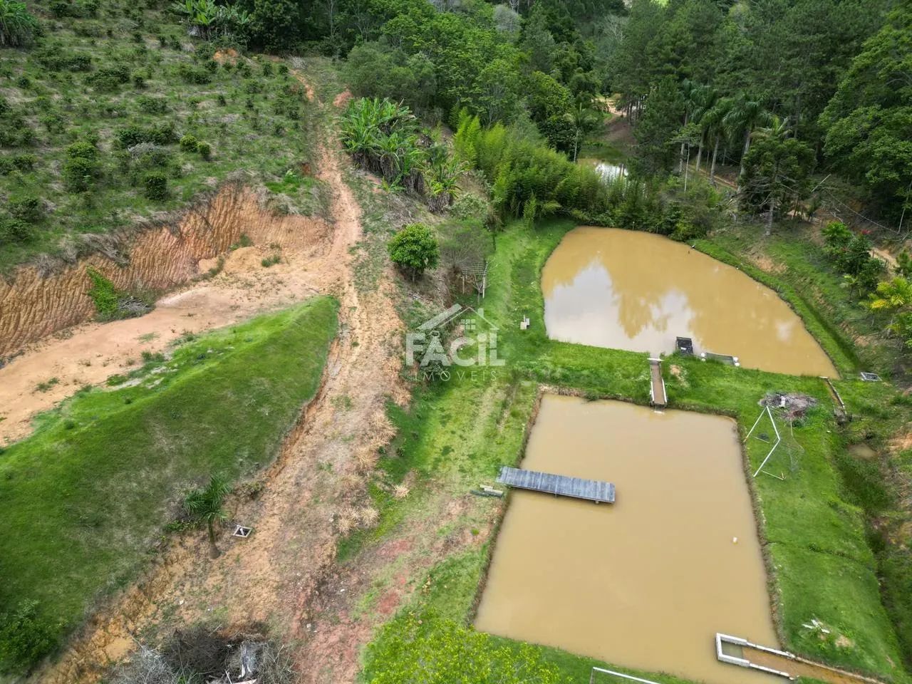 Sítio à Venda em Santa Teresa com 4 Dormitórios e 2 Banheiros - Foto 5